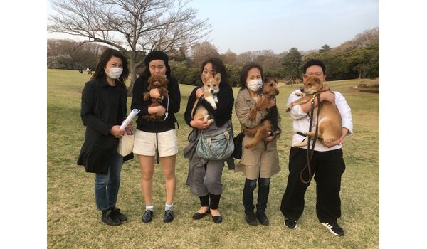 犬のしつけ教室・出張レッスン・無駄吠えの矯正レッスンを行う、ドッグスクールヴィッセの今日のわん子達です。3月27日 