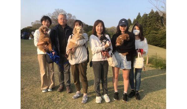 犬のしつけ教室・出張レッスン・無駄吠えの矯正レッスンを行うドッグスクールヴィッセ、今日のわん子達～4月6日