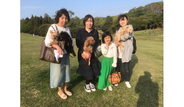 犬のしつけ教室・出張レッスン・無駄吠えの矯正レッスンを行う、ドッグスクールヴィッセの今日のわんこ達～4月20日