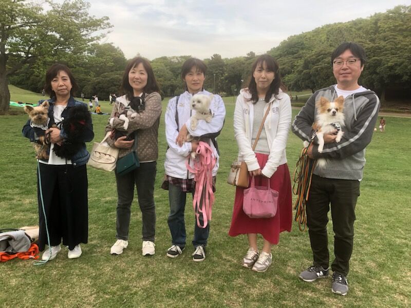 横浜市の犬のしつけ教室/お散歩レッスン～今日のわん子達