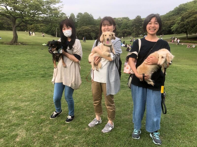 横浜市の犬のしつけ教室/お散歩レッスン～今日のわん子達