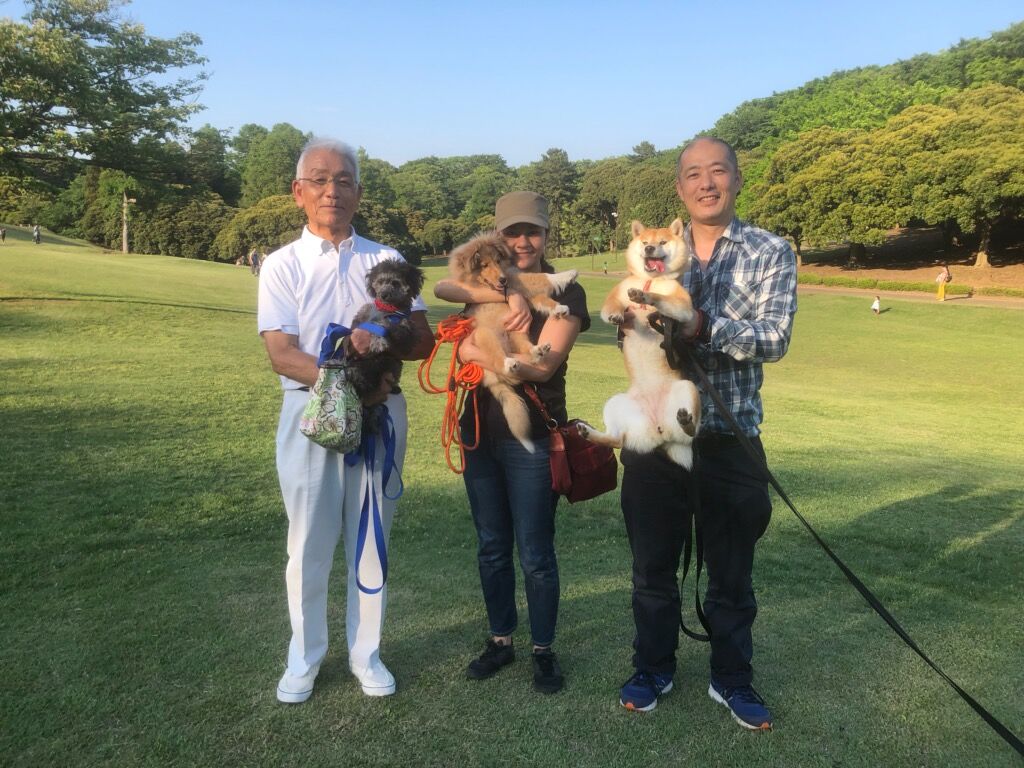 横浜市の犬のしつけ教室/お散歩レッスン～今日のわん子達