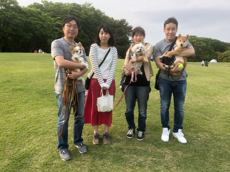 横浜市の犬のしつけ教室/お散歩レッスン～今日のわん子達