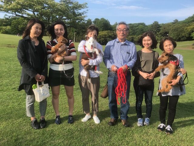 横浜市の犬のしつけ教室/お散歩レッスン～今日のわん子達