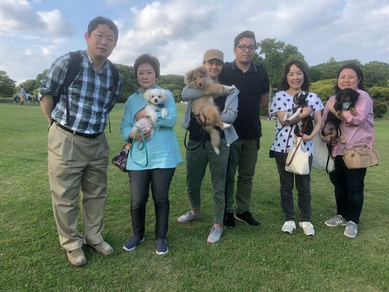 横浜市の犬のしつけ教室/お散歩レッスン～今日のわん子達