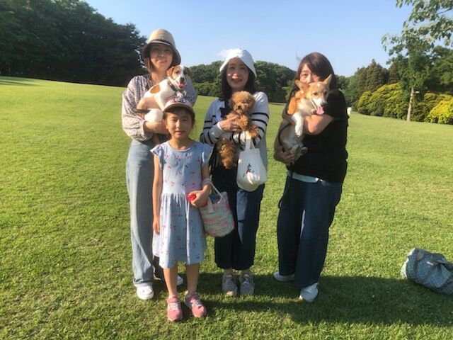 横浜市の犬のしつけ教室/お散歩レッスン～今日のわん子達