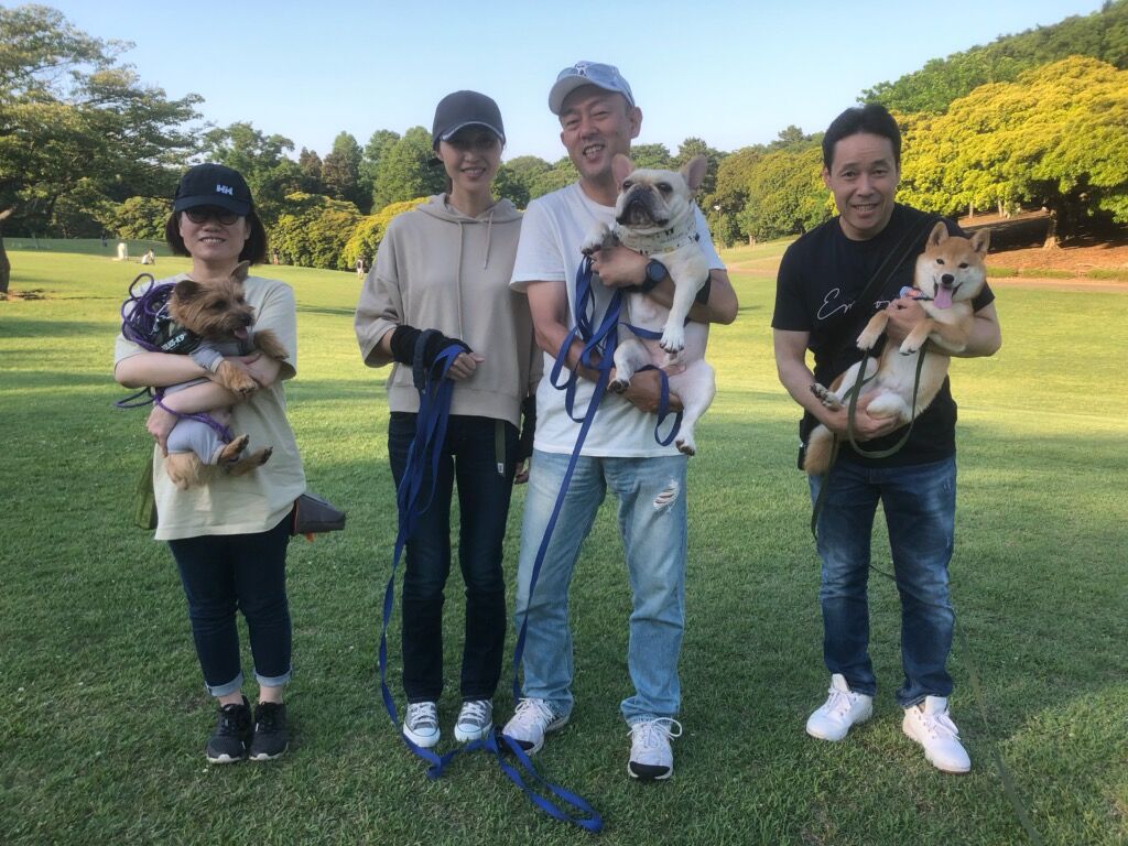 横浜市の犬のしつけ教室/お散歩レッスン～今日のわん子達