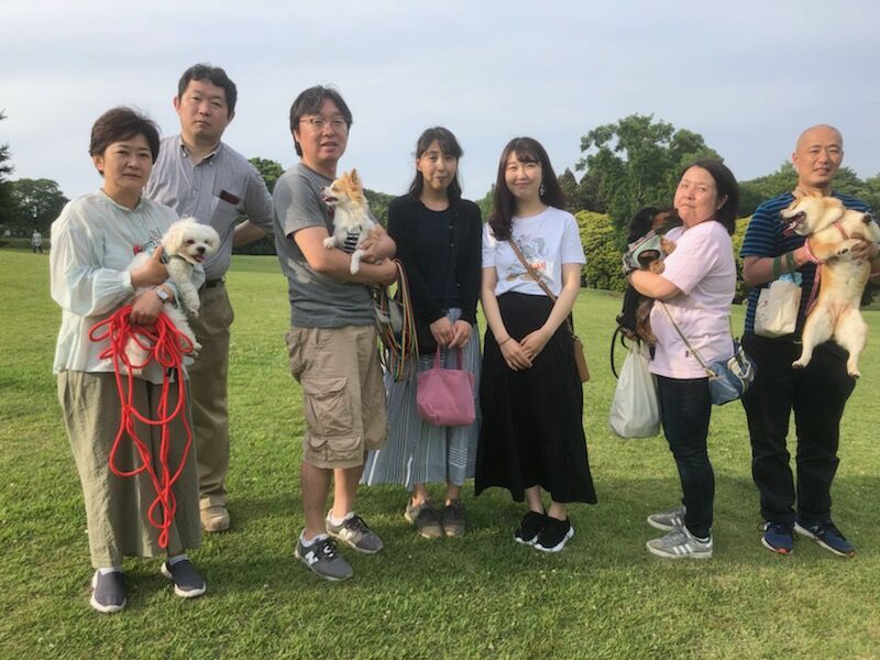 横浜市の犬のしつけ教室/お散歩レッスン～今日のわん子達