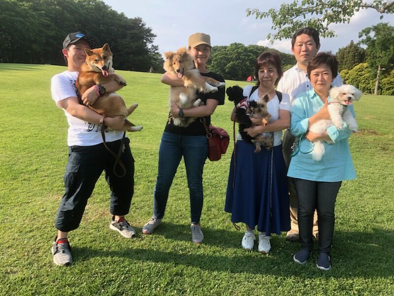 横浜市の犬のしつけ教室/お散歩レッスン～今日のわん子達