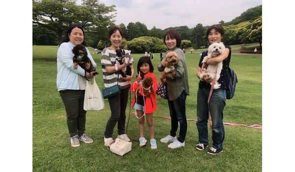 犬のしつけ教室・出張レッスン・無駄吠えの矯正レッスンを行う、ドッグスクール ヴィッセの今日のわん子達～6月2日 