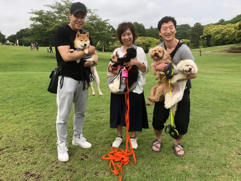 横浜市の犬のしつけ教室/お散歩レッスン～今日のわん子達