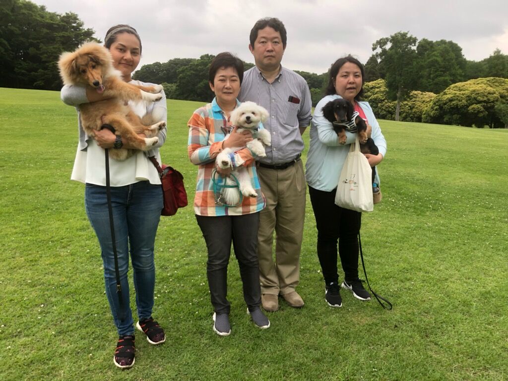 横浜市の犬のしつけ教室/お散歩レッスン～今日のわん子達