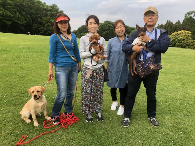 横浜市の犬のしつけ教室/お散歩レッスン～今日のわん子達