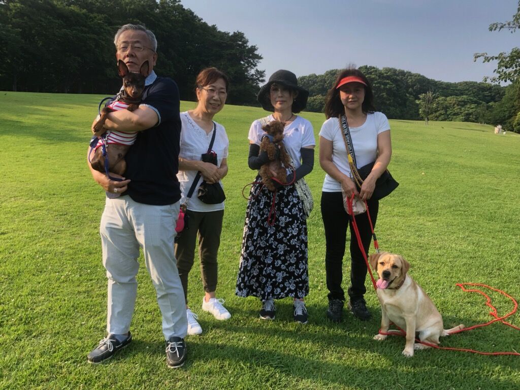 横浜市の犬のしつけ教室/お散歩レッスン～今日のわん子達。