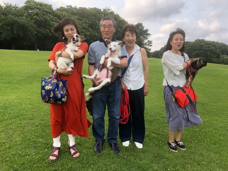 横浜市の犬のしつけ教室/お散歩レッスン～今日のわん子達