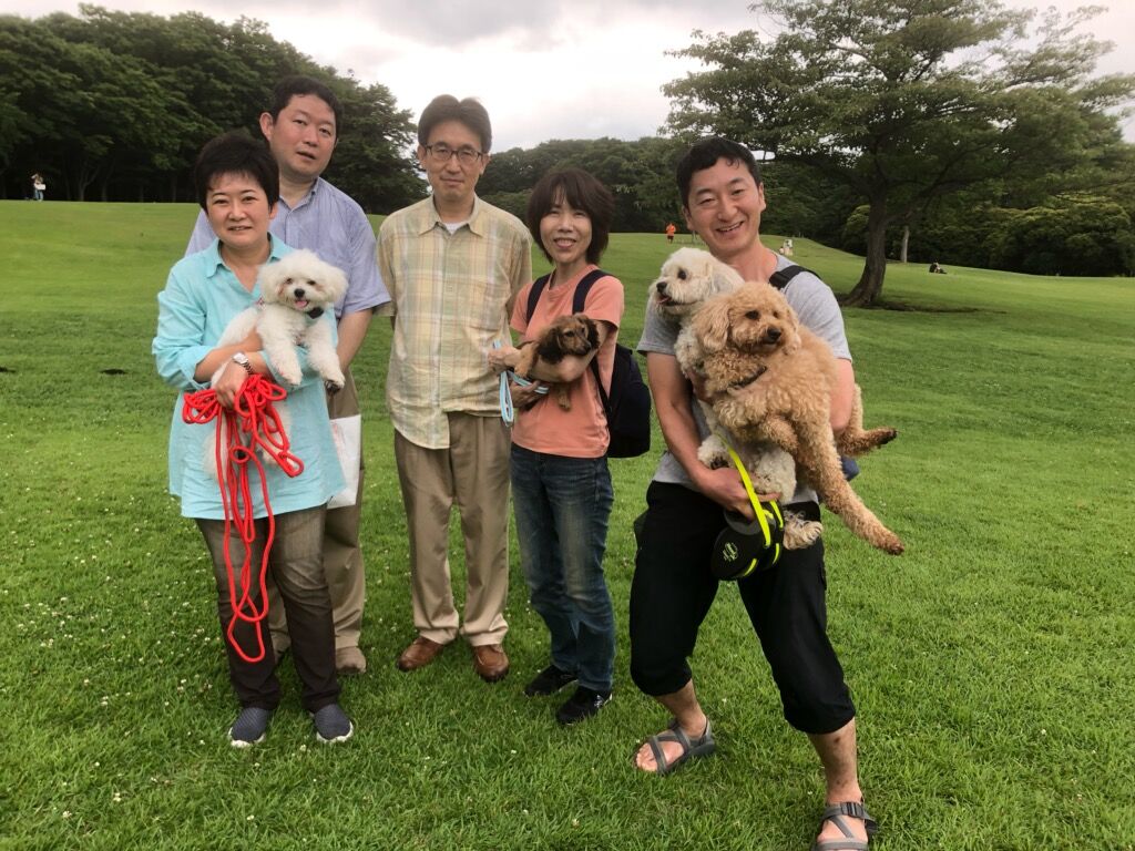横浜市の犬のしつけ教室/お散歩レッスン～今日のわん子達.