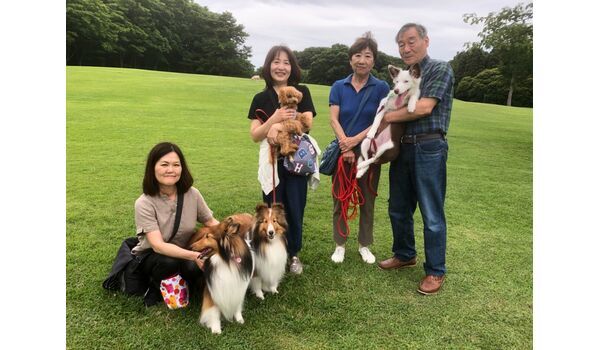 犬のしつけ教室・出張レッスン・無駄吠えの矯正レッスンを行う、ドッグスクール ヴィッセの今日のわん子達~6月27日 