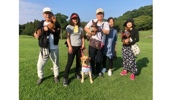 犬のしつけ教室・出張レッスン・無駄吠えの矯正レッスンを行う、ドッグスクール ヴィッセの今日のわん子達～7月10日 