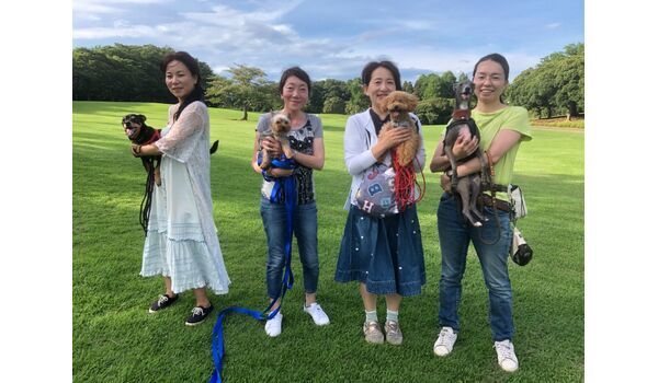 犬のしつけ教室・出張レッスン・無駄吠えの矯正レッスンを行うドッグスクール ヴィッセ、今日のわん子達～7月19日 