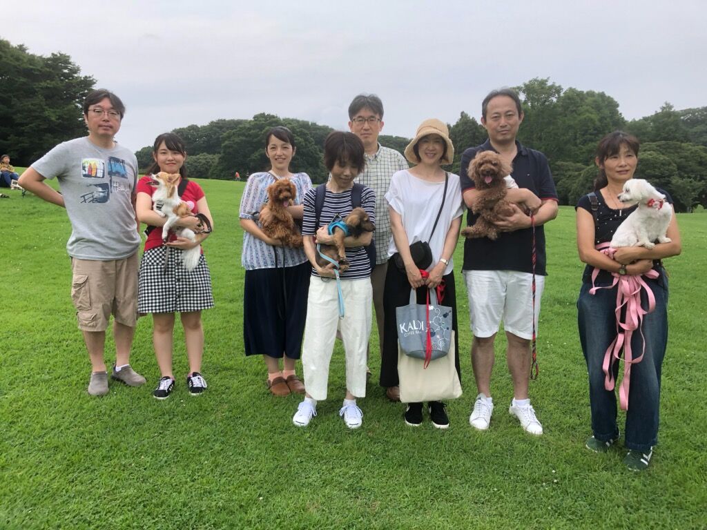 横浜市の犬のしつけ教室/お散歩レッスン～今日のわん子達