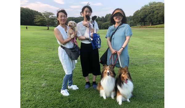 犬のしつけ教室・出張レッスン・無駄吠えの矯正レッスンを行うドッグスクール ヴィッセ、今日のわん子達～7月25日 