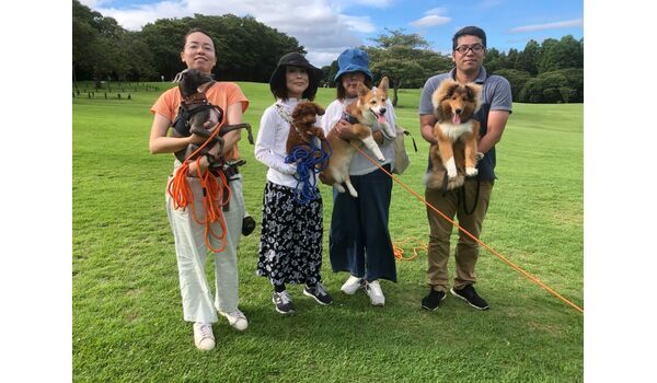 犬のしつけ教室・出張レッスン・無駄吠えの矯正レッスンを行うドッグスクール ヴィッセ、今日のわん子達～7月26日 