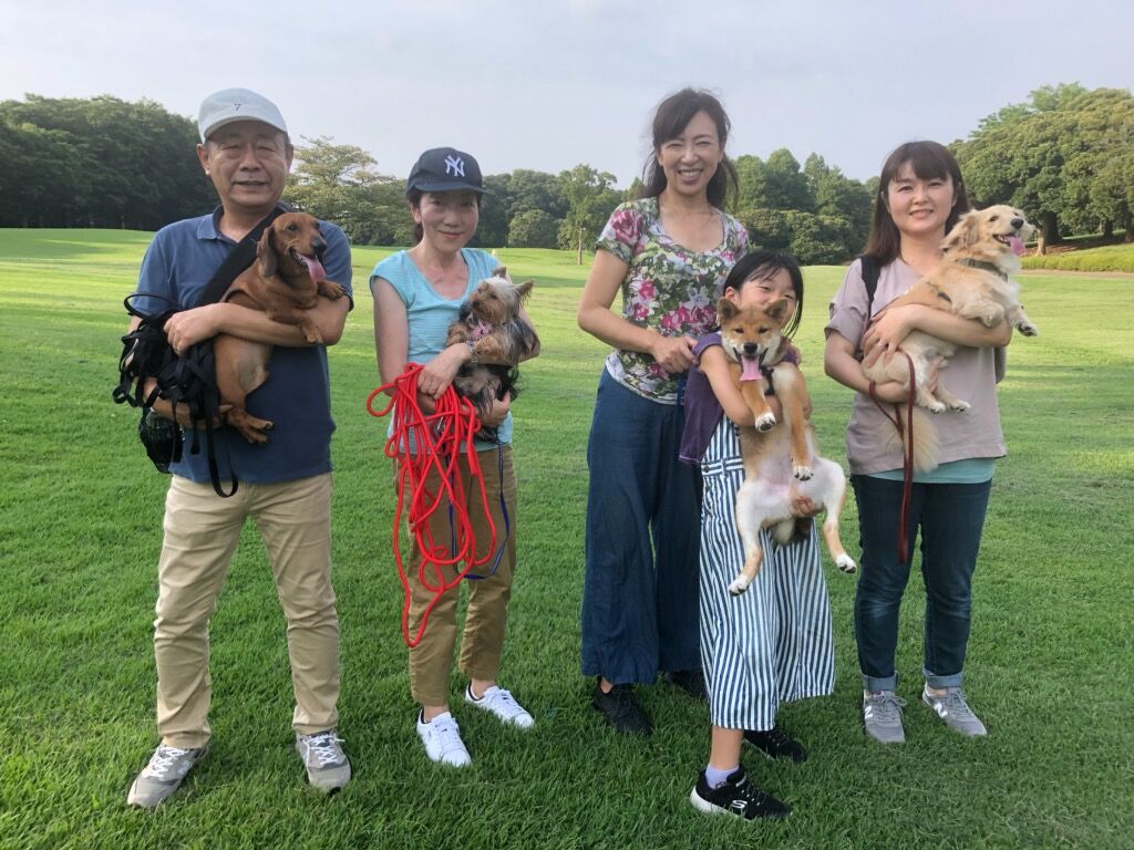 横浜市の犬のしつけ教室/お散歩レッスン～今日のわん子達