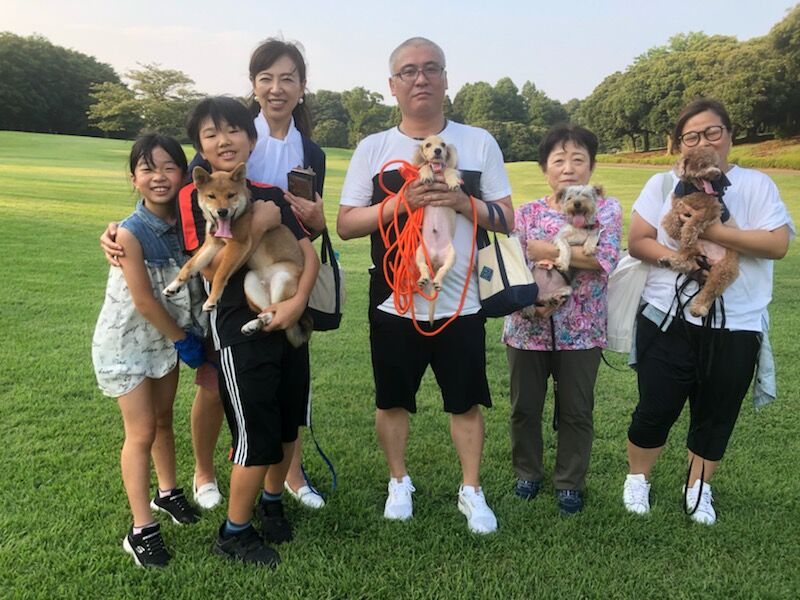 横浜市の犬のしつけ教室/お散歩レッスン～今日のわん子達