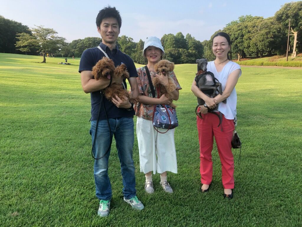 横浜市の犬のしつけ教室/お散歩レッスン～今日のわん子達