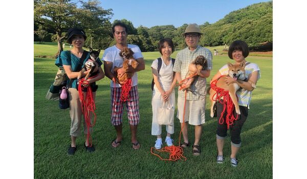 犬のしつけ教室・出張レッスン・無駄吠えの矯正レッスンを行うドッグスクール ヴィッセ、今日のわん子達～8月3日 