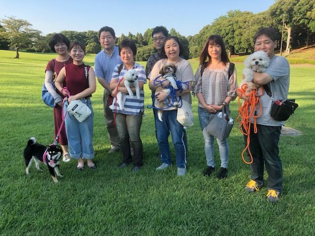 横浜市の犬のしつけ教室/お散歩レッスン～今日のわん子達