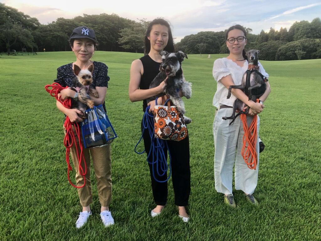 横浜市の犬のしつけ教室/お散歩レッスン～今日のわん子達