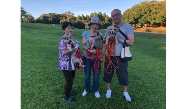 犬のしつけ教室・出張レッスン・無駄吠えの矯正レッスンを行うドッグスクール ヴィッセ、今日のわん子達～9月6日 