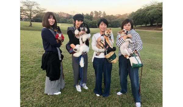犬のしつけ教室・出張レッスン・無駄吠えの矯正レッスンを行うドッグスクール ヴィッセ、今日のわん子達～11月1日 