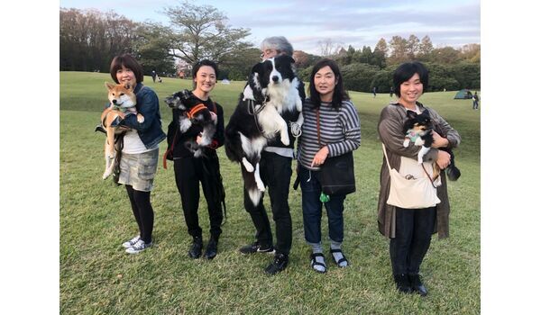 犬のしつけ教室・出張レッスン・無駄吠えの矯正レッスンを行うドッグスクール ヴィッセ、今日のわん子達～11月2日 