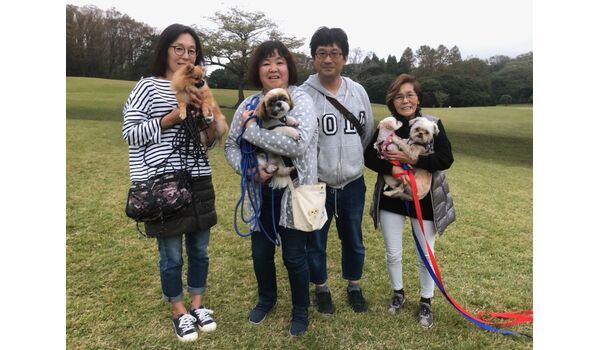 犬のしつけ教室・出張レッスン・無駄吠えの矯正レッスンを行うドッグスクール ヴィッセ、今日のわん子達～11月3日 