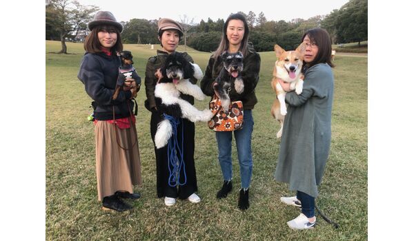 犬のしつけ教室・出張レッスン・無駄吠えの矯正レッスンを行うドッグスクール ヴィッセ、今日のわん子達～11月8日 