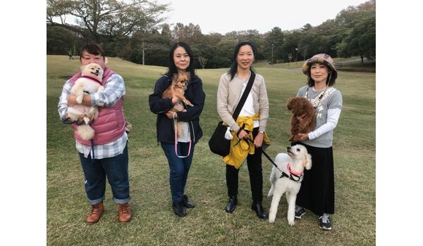 犬のしつけ教室・出張レッスン・無駄吠えの矯正レッスンを行うドッグスクール ヴィッセ、今日のわん子達～11月13日 