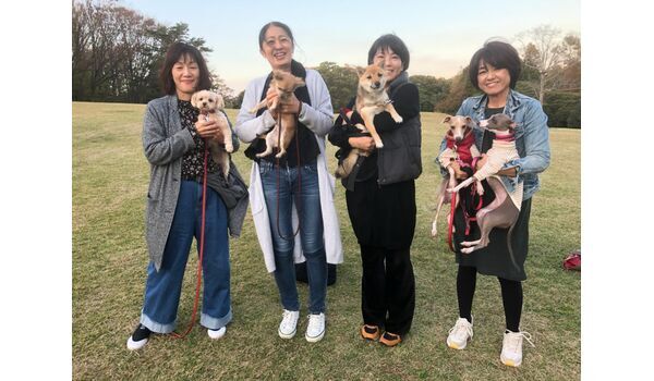 犬のしつけ教室・出張レッスン・無駄吠えの矯正レッスンを行うドッグスクール ヴィッセ、今日のわん子達～11月14日 