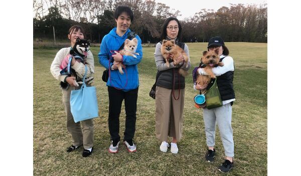 犬のしつけ教室・出張レッスン・無駄吠えの矯正レッスンを行うドッグスクール ヴィッセ、今日のわん子達～11月16日 