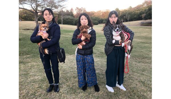 犬のしつけ教室・出張レッスン・無駄吠えの矯正レッスンを行うドッグスクール ヴィッセ、今日のわん子達～11月29日 