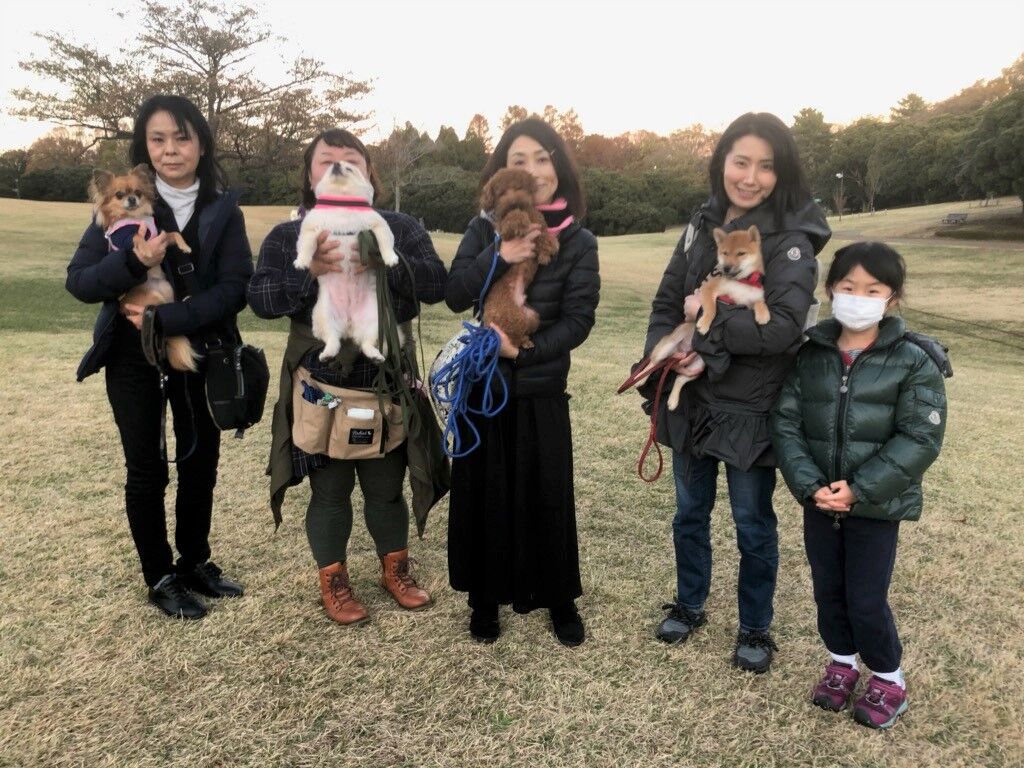 横浜市の犬のしつけ教室/今日のわん子達