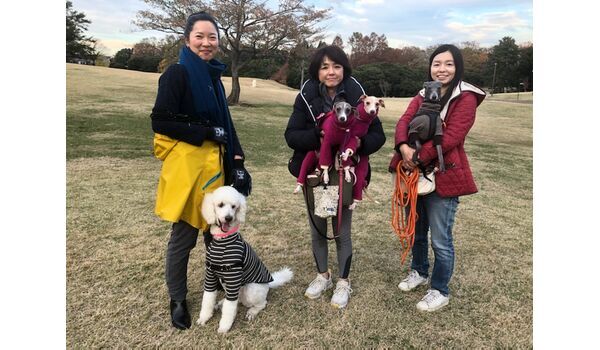 犬のしつけ教室・出張レッスン・無駄吠えの矯正レッスンを行うドッグスクール ヴィッセ、今日のわん子達～12月5日 