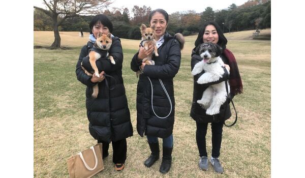 犬のしつけ教室・出張レッスン・無駄吠えの矯正レッスンを行うドッグスクール ヴィッセ、今日のわん子達～12月6日 
