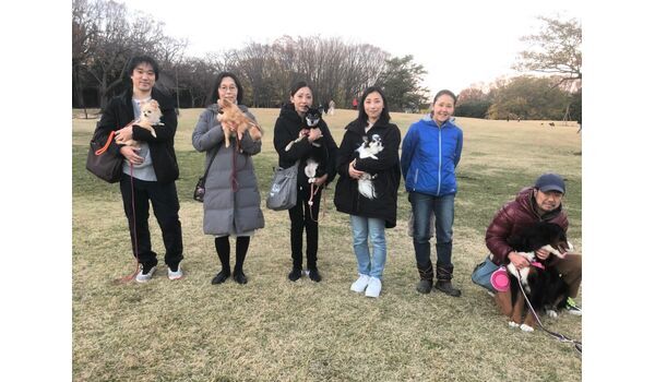 犬のしつけ教室・出張レッスン・無駄吠えの矯正レッスンを行うドッグスクール ヴィッセ、今日のわん子達～12月8日 