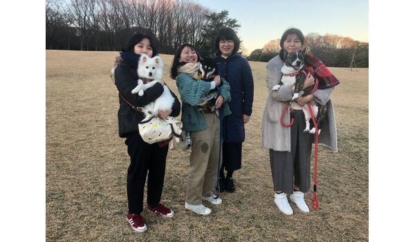 犬のしつけ教室・出張レッスン・無駄吠えの矯正レッスンを行うドッグスクール ヴィッセ、今日のわん子達～12月27日 