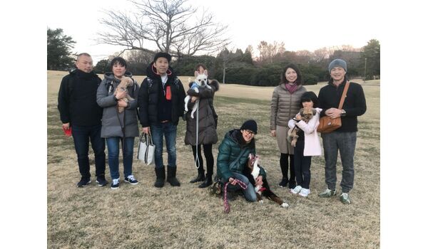 犬のしつけ教室・出張レッスン・無駄吠えの矯正レッスンを行うドッグスクール ヴィッセ、今日のわん子達～12月28日 