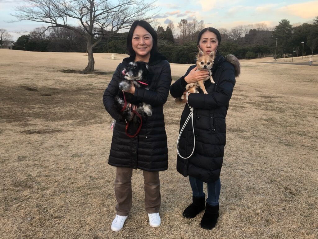 横浜市の犬のしつけ教室/今日のわん子達