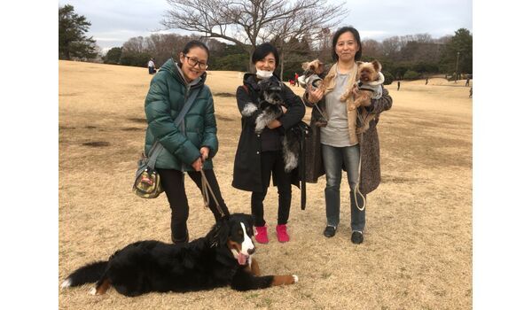 犬のしつけ教室・出張レッスン・無駄吠えの矯正レッスンを行うドッグスクール ヴィッセ、今日のわん子達～1月25日 