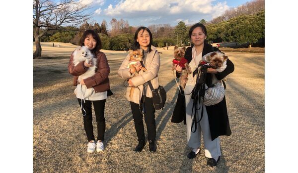 犬のしつけ教室・出張レッスン・無駄吠えの矯正レッスンを行うドッグスクール ヴィッセ、今日のわん子達～2月5日 